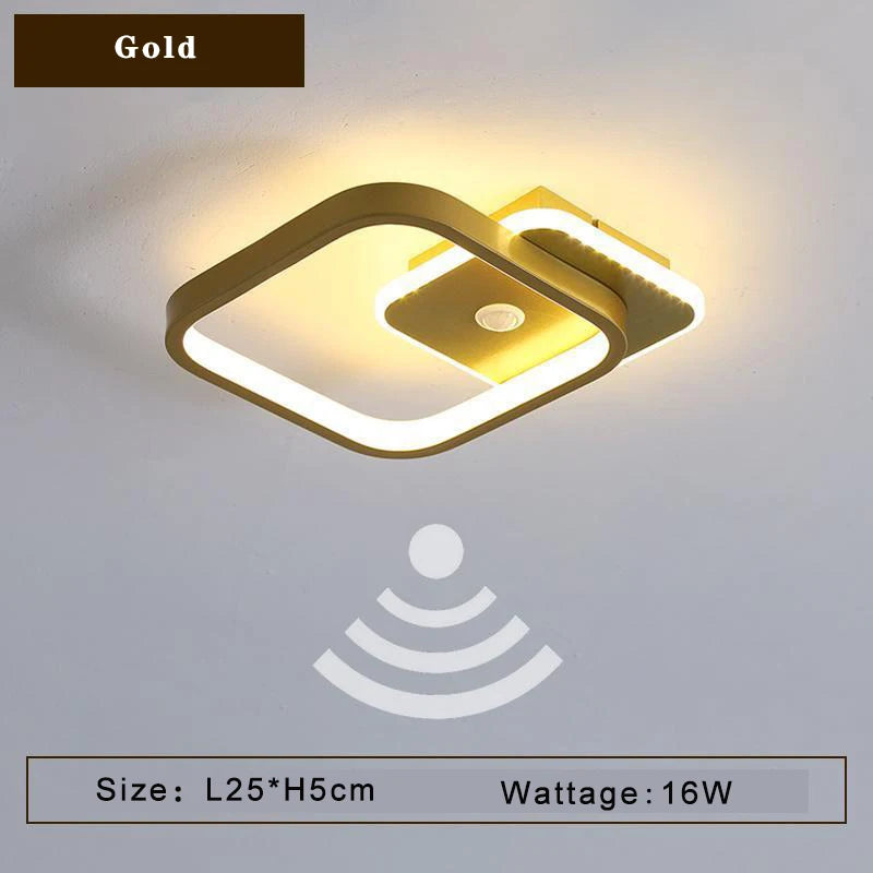 48163610034522|48163610100058