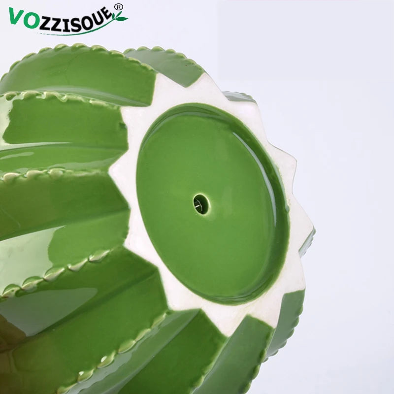 pots créatifs en céramique pour cactus et bonsaïs décoratifs