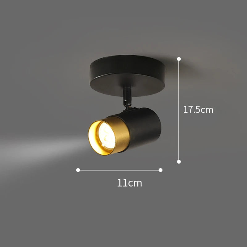 47896981111130|47896981143898|47896981176666