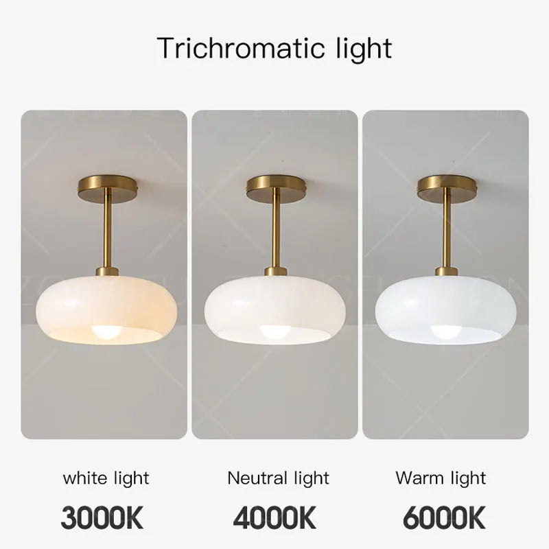 plafonnier moderne en fer et verre pour intérieur élégant