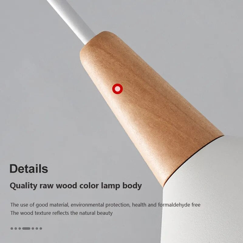 Suspension nordique minimaliste en bois