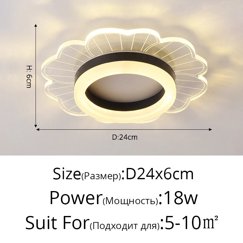 48575095734618|48575095996762|48575096160602