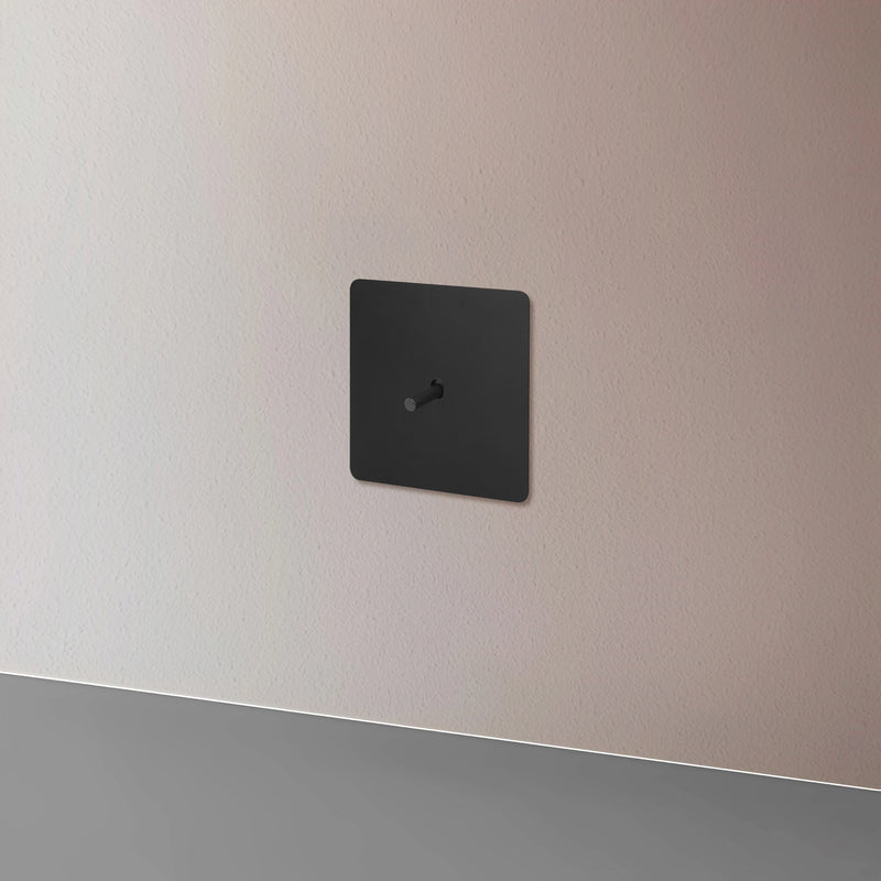 Prise électrique double (Europe) en acier noir brossé