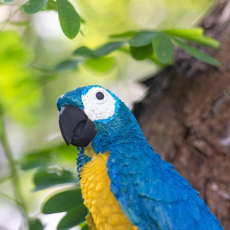 Applique murale perroquet