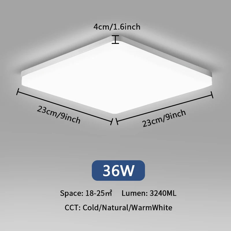 48575135908186|48575136039258|48575136104794