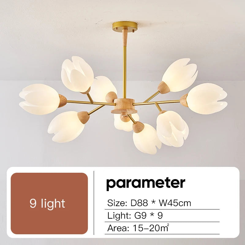 49424650994010|49424651059546|49424651288922