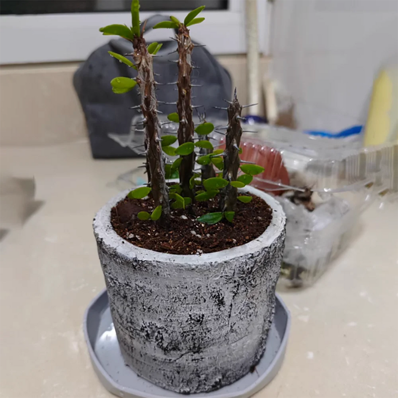 moule en silicone rétro pour pot de fleurs en ciment