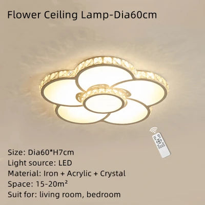 48575110971738|48575111037274