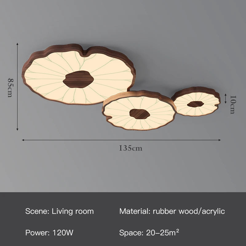 49751212425562|49751212491098|49751212523866