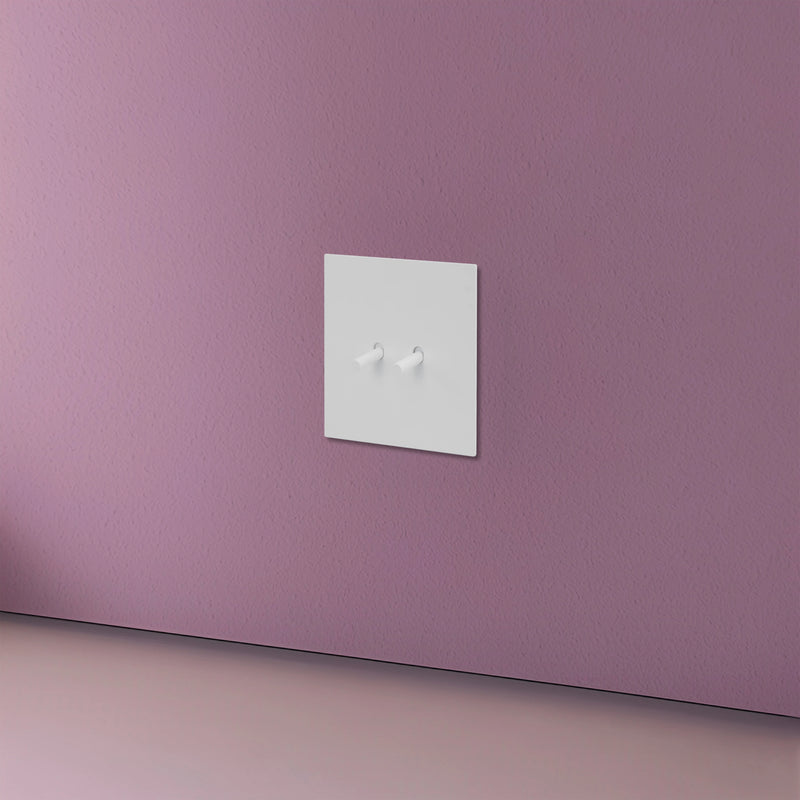 Cache prise plate en acier blanc mat