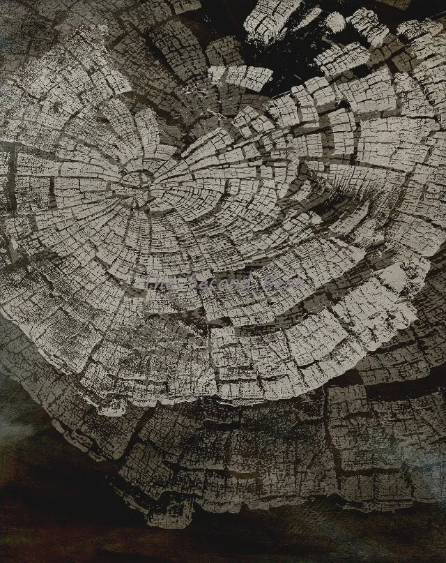 affiches abstraites sur les anneaux des arbres décoration murale nordique