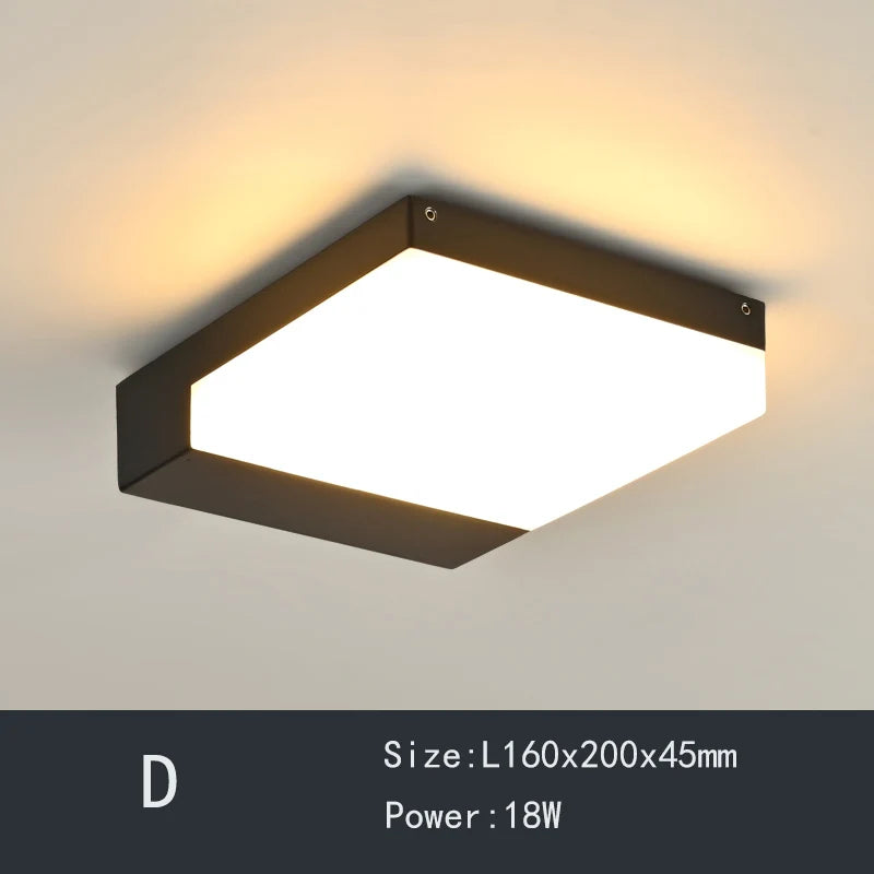 49526845440346|49526845636954