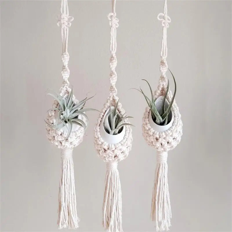 support mural en macramé pour plantes aériennes style bohème