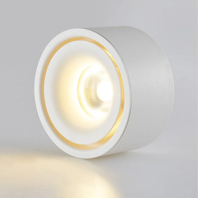 spot led anti-éblouissant monté en surface à intensité variable
