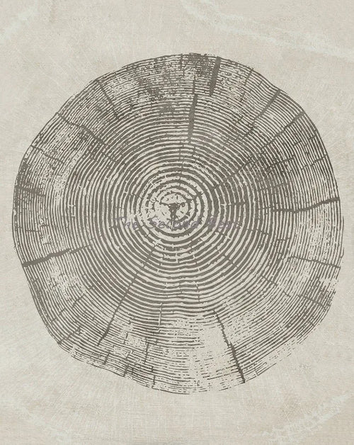 affiches abstraites sur les anneaux des arbres pour décoration murale