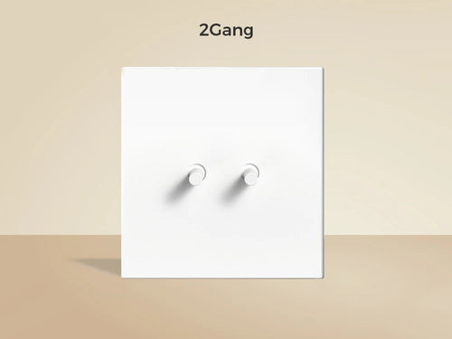 Interrupteur double 2 voies en acier blanc mat