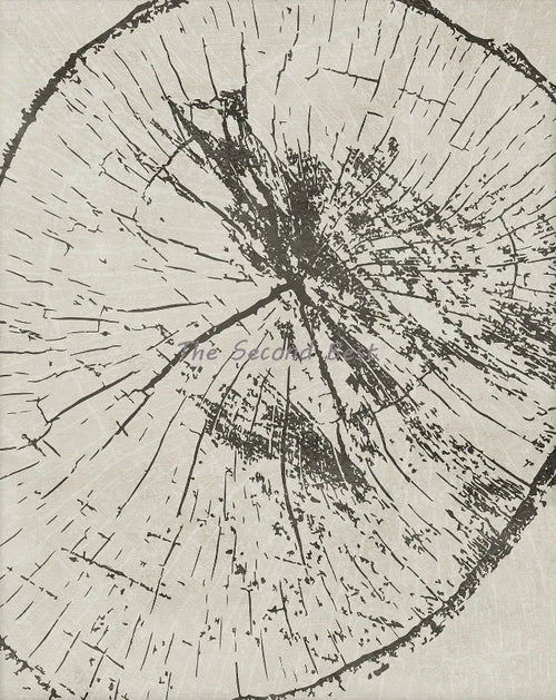 affiches abstraites sur les anneaux des arbres décoration murale artistique