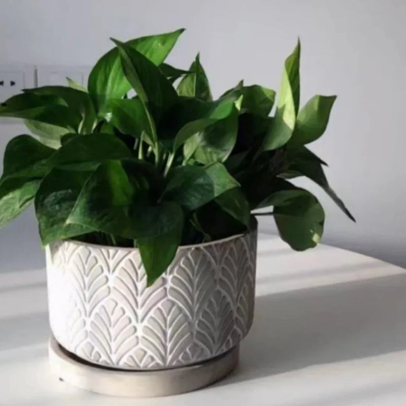 moule en silicone pour pot de fleurs béton motif feuilles
