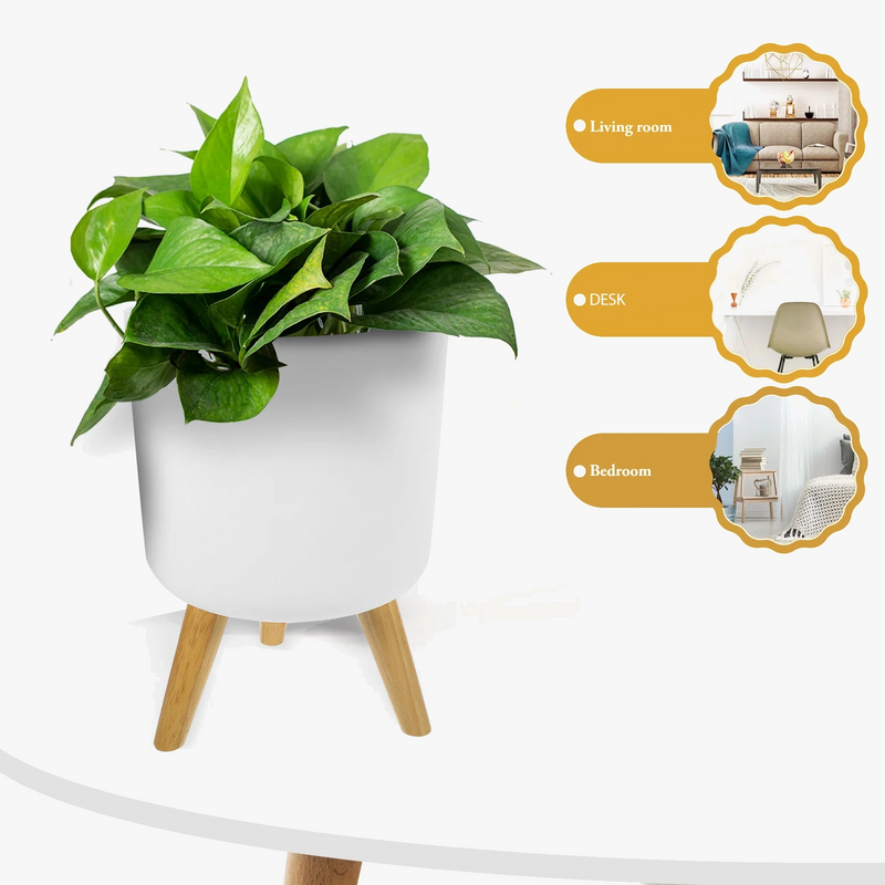 pot-de-fleurs-moderne-nordique-avec-pieds-en-bois-pour-plantes-et-d-coration-3.png