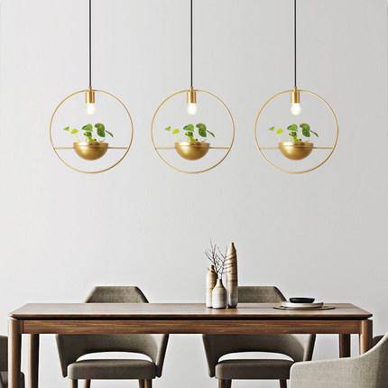 Suspension LED design cercle avec boule à plante Ring