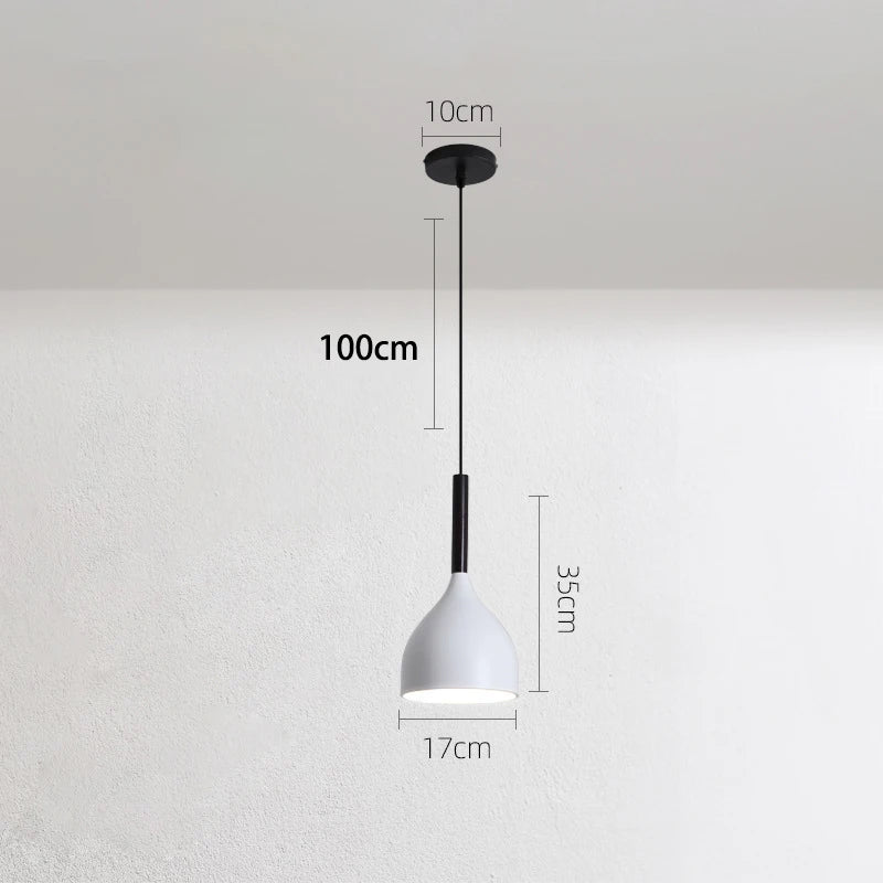 suspension industrielle loft style nordique en fer - vue 16 sur 20