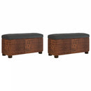 2PCS Storage Benches with cuship for Living Room Room Entryway Storage Ottoman for Blankets, Storage Toys rtan Woven