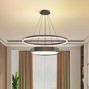 Modern creative LED chandelier for interior decoration