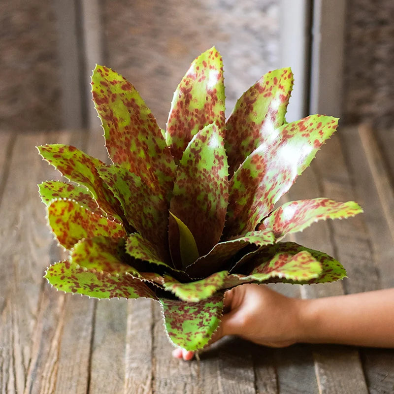 plantes succulentes artificielles toucher réel pour décoration intérieure - vue 3 sur 10