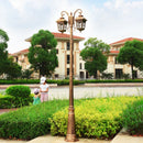 Outdoor waterproof multi-head LED garden lamp