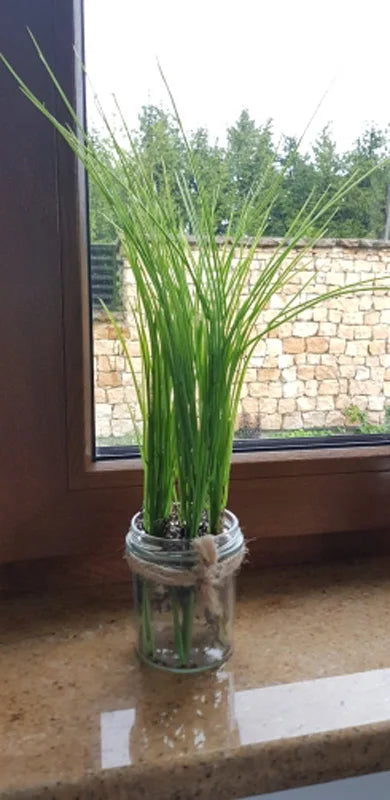 bouquet de plantes artificielles tropicales pour décoration intérieure et extérieure - vue 9 sur 8