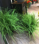 Realistic artificial grass plants for wedding and shop decoration
