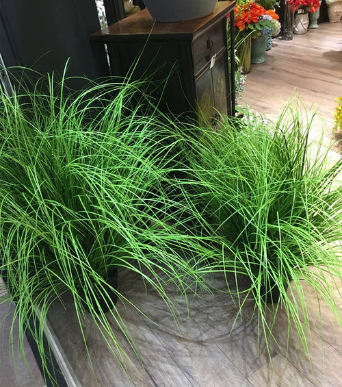 Realistic artificial grass plants for wedding and shop decoration - vue 7 sur 8