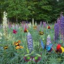 Set of 10 decorative flower pots with colourful butterflies