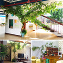 Artificial green plants winding vines, simulated banyan branches, everlasting banyan tree interior decoration, living room, home