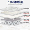 matelas composite cinq couches rembourré en latex pour dortoir étudiant