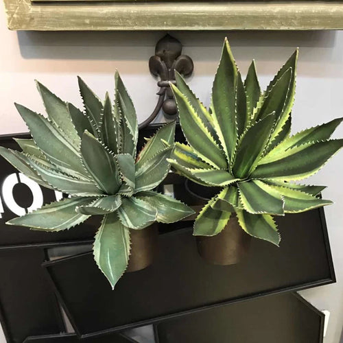 plantes succulentes artificielles décoratives en plastique à épines de lotus