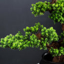 Welcome Pine Bonsai Decoration,Living Room,Desktop,Fake Tree,Artificial Plants,Potted Ornament,Home Decor Customized