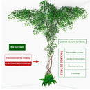 Artificial green plants winding vines, simulated banyan branches, everlasting banyan tree interior decoration, living room, home