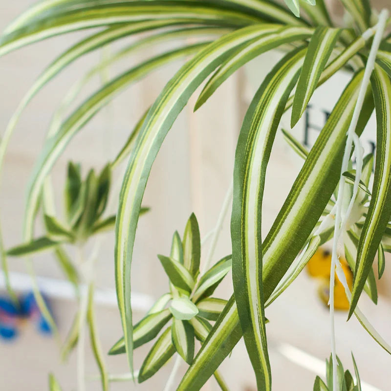 plantes artificielles suspendues à 5 fourches pour décoration intérieure - vue 4 sur 7