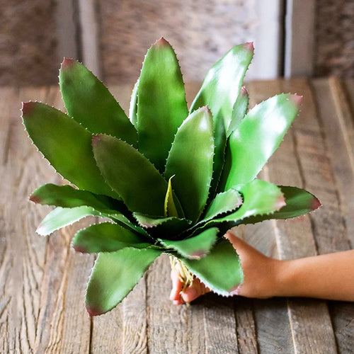 plantes succulentes artificielles toucher réel pour décoration intérieure