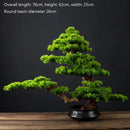 Welcome Pine Bonsai Decoration,Living Room,Desktop,Fake Tree,Artificial Plants,Potted Ornament,Home Decor Customized