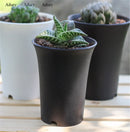 plante succulente pot en plastique épais style vintage rond