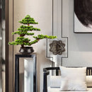 Welcome Pine Bonsai Decoration,Living Room,Desktop,Fake Tree,Artificial Plants,Potted Ornament,Home Decor Customized