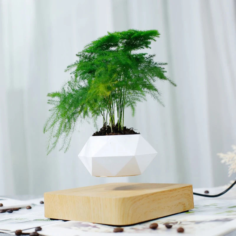 pot de bonsaï à lévitation magnétique pour décoration spéciale - vue 7 sur 10
