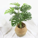 Realistic artificial tropical plants for interior decoration