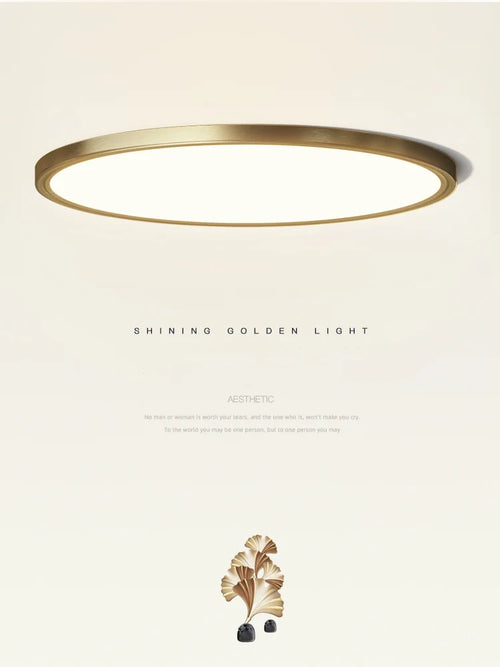 Modern minimalist decorative copper ceiling light - vue 6 sur 5