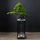 Welcome Pine Bonsai Decoration,Living Room,Desktop,Fake Tree,Artificial Plants,Potted Ornament,Home Decor Customized