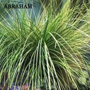 Realistic artificial grass plants for wedding and shop decoration