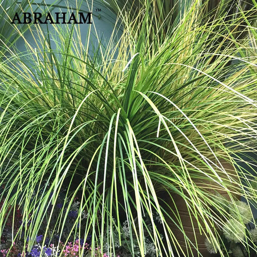 Realistic artificial grass plants for wedding and shop decoration - vue 2 sur 8
