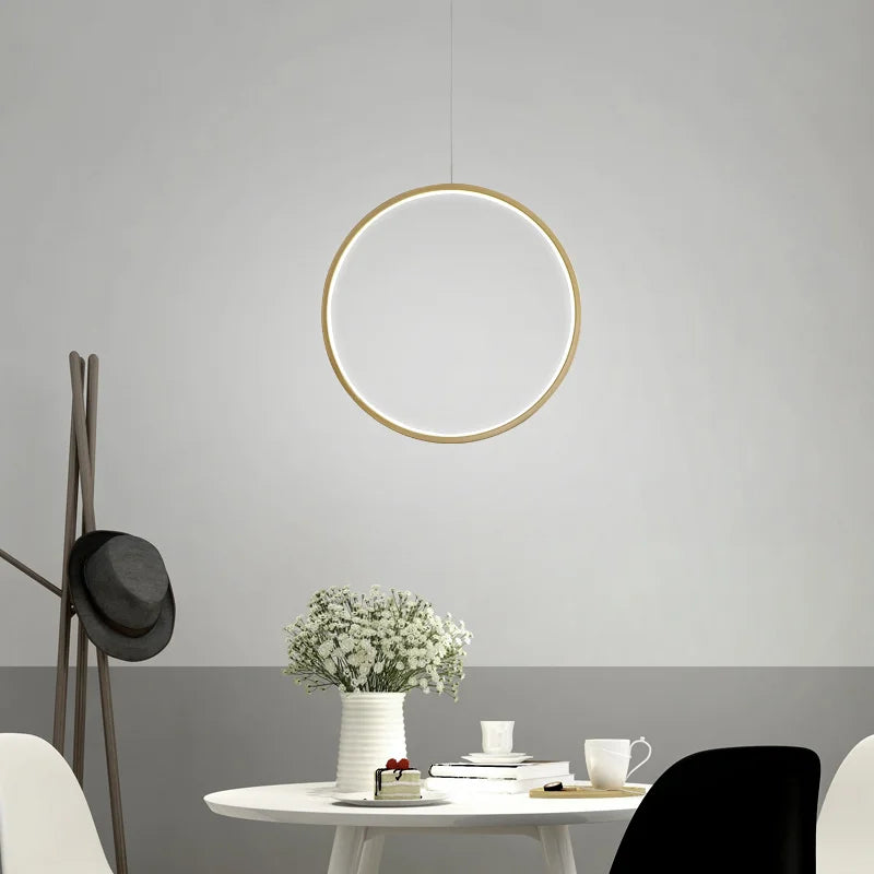 suspension circulaire moderne idéale pour bar ou cuisine - vue 3 sur 18